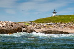 Driftwood Washed up on Shore by Pond Island Light